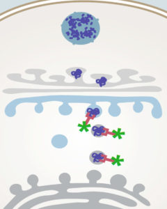 illustration of a small molecule