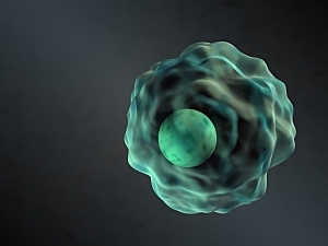 3D rendering of single human cell concept