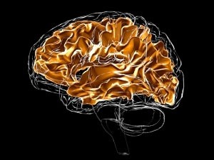 3D color medical concept of human brain white matter