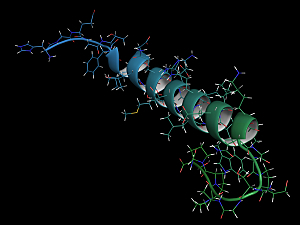 3D rendering of exenatide drug molecule