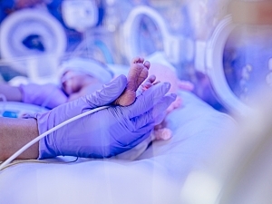 Close up of doctor's hands holding a newborn in the NICU