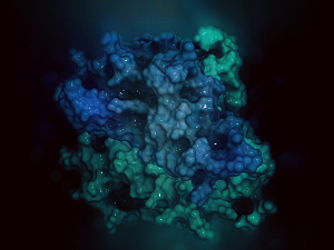 3D rendering of Tumor Necrosis Factor (TNF)-α Inhibitor molecule