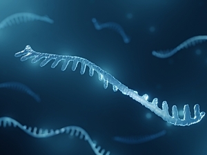 Blue 3D rendering of microRNA strands