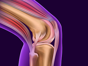 Color rendering of a human knee joint on black background