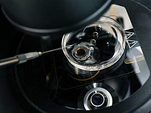 Close up of microscope with petri dish for in vitro fertilization