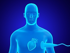 Blue 3D rendering of male human body with echocardiography device examining the heart
