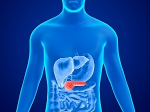 Rendering of blue human body concept with pancreas highlighted in red