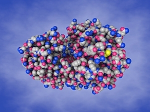 3D color molecular model rendering of ANGPTL3, an antisense oligonucleotide found in the liver