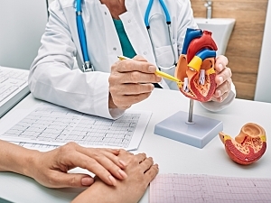 Cardiologist showing patient an anatomical model of human heart, sitting at desk