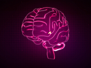 3D pink glowing outline of human brain with pineal gland highlighted