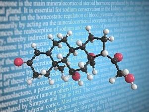 Aldosterone scientific molecular model, 3D rendering