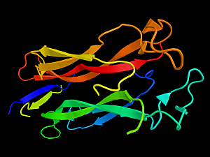 Rendering of Interleukin 17, a cytokine produced by T-helper cells, on black background