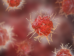 Dendritic cell, antigen-presenting immune cell, 3D illustration