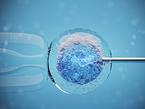 In vitro fertilization of a human female cell on a blue background. Microscopic view, 3d rendering