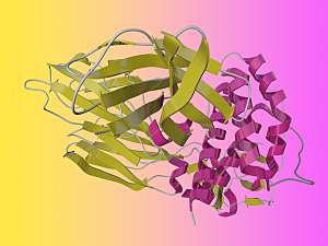 Human interleukin-2 in complex with interleukin-2 receptor