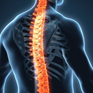 glowing-spinal-cord-inside-body